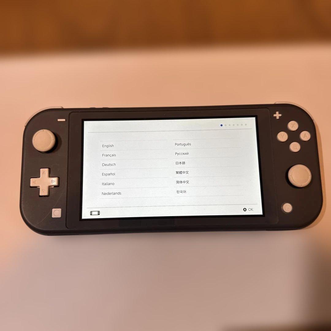 Nintendo Switch Lite 黒 中古 SDカード64GBおまけ