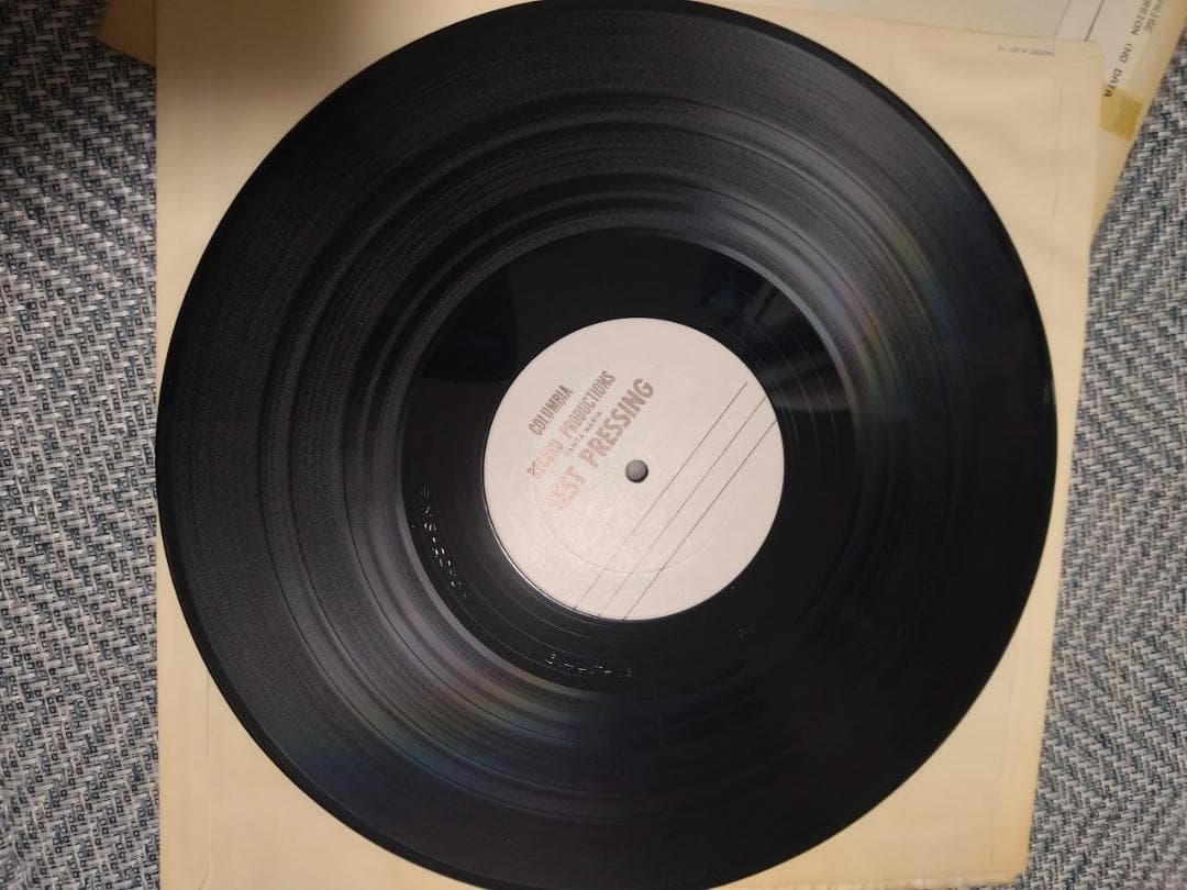 カール・アンド・ザ・パッションズ　（test press）