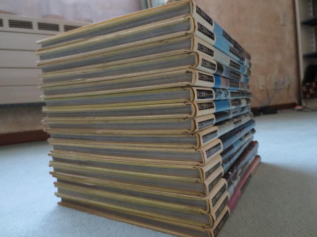 現代建築家シリーズ　全15巻