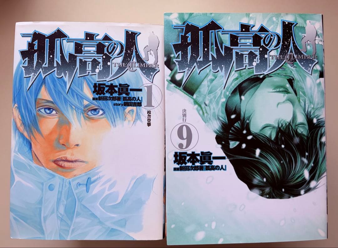 孤高の人 全巻セット 全17巻