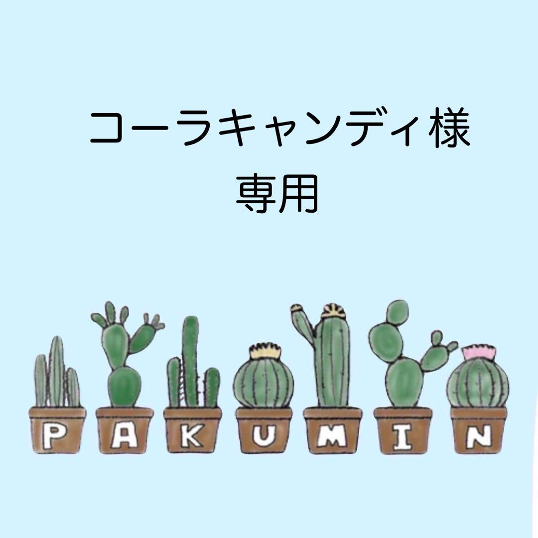 ✨コーラキャンディ ✨A6 アクリルレジンバインダー×4セット