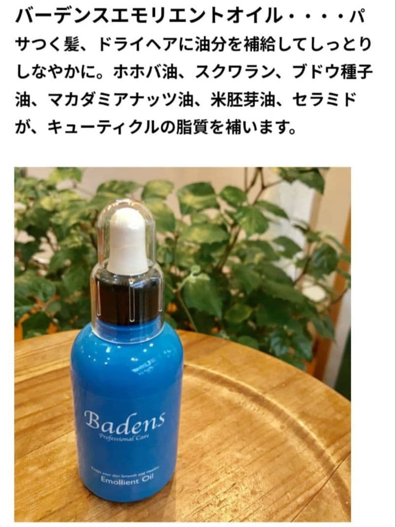 サロン専用 Badens シャンプー&アミノシャワー トリートメント 2本セット