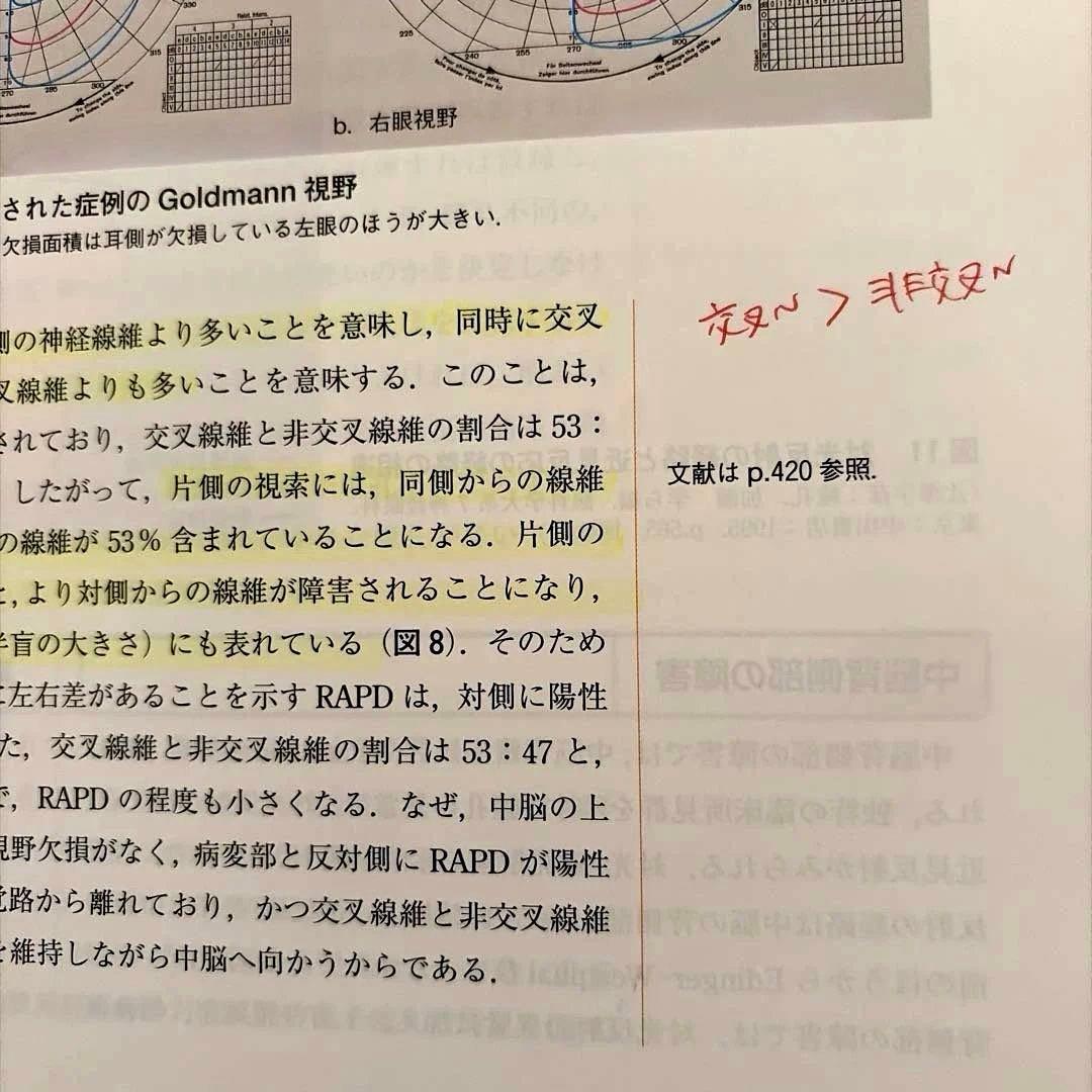 【裁断済】眼の発生と解剖・機能
