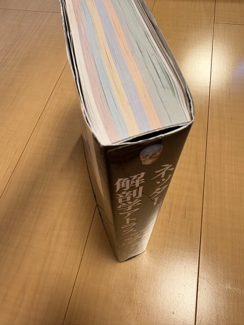 ネッター解剖学アトラス : 第7版