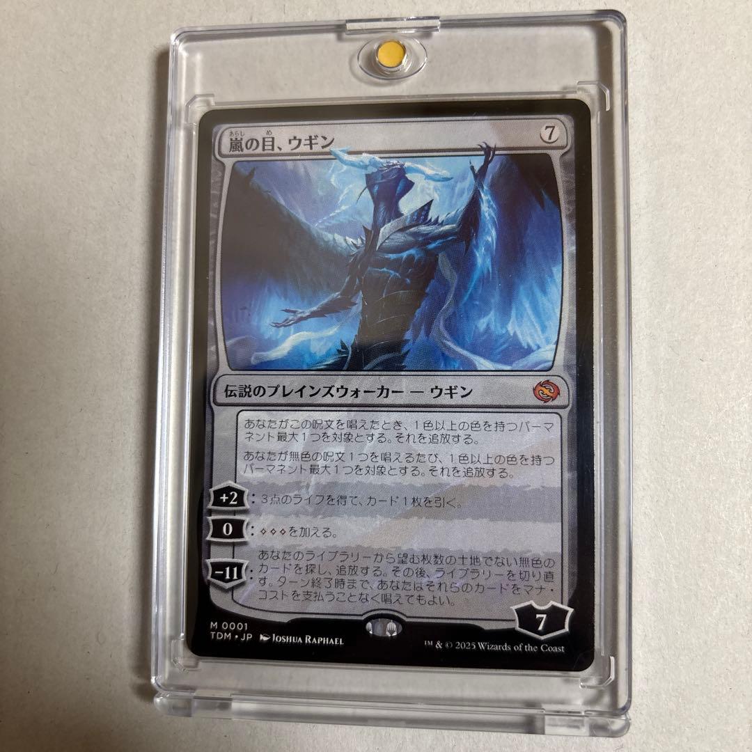 嵐の目、ウギン　MTG