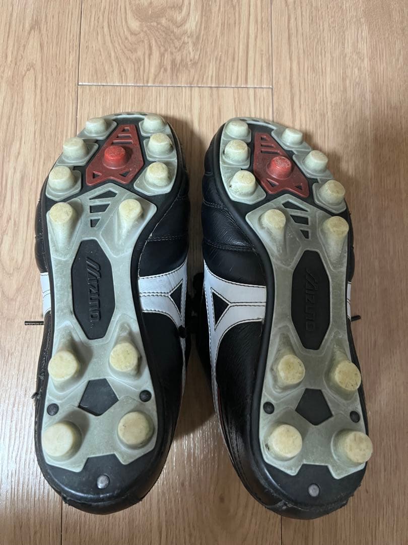 Mizuno モレリア2ジャパン
