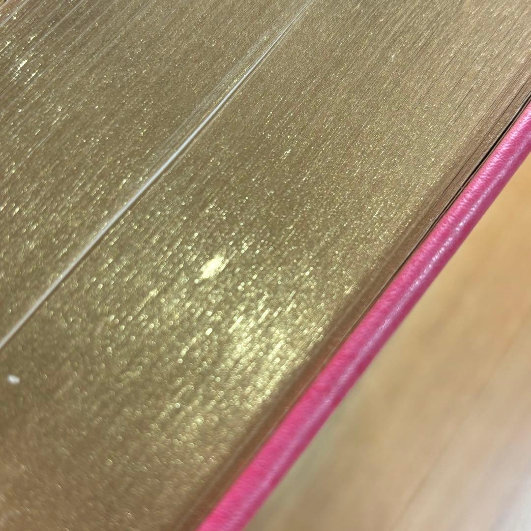 洋書　★ 不思議の国のアリス