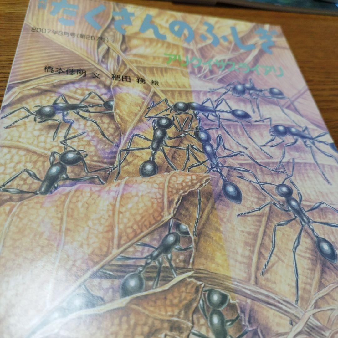 月刊たくさんのふしぎ　23冊