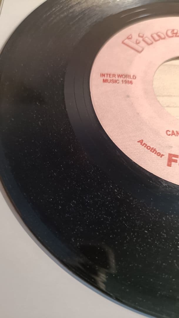 名盤☆レゲエ　７インチ　WINSOME/AM I THE SAME GIRL