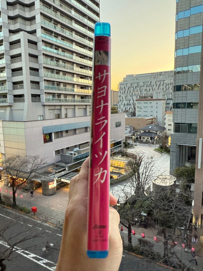 【超美品】　♡ サヨナライツカ　Blu-ray　中山美穂　西島秀俊