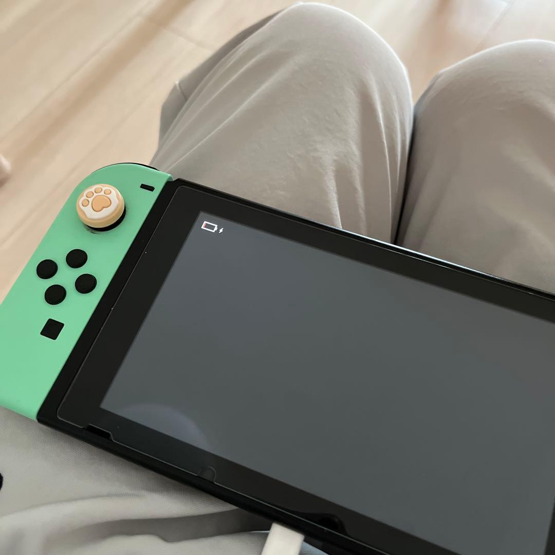 Nintendo Switch 本体 動物の森