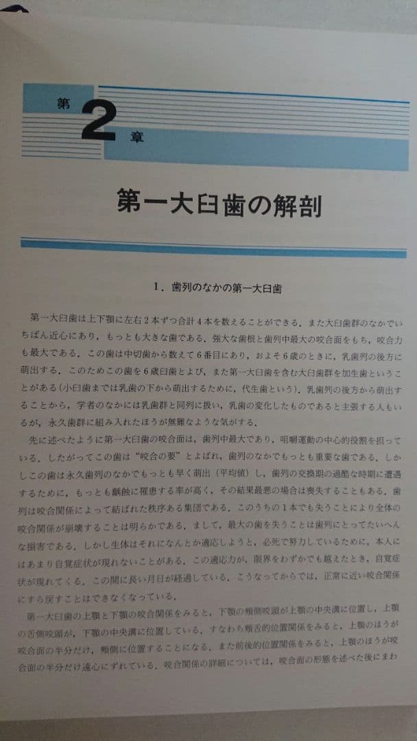 第一大臼歯