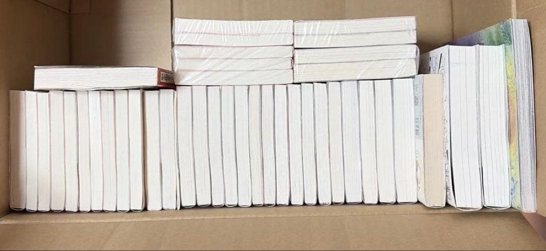 FLESH＆BLOOD 既刊全25巻➕外伝3冊他松岡なつき作品セット