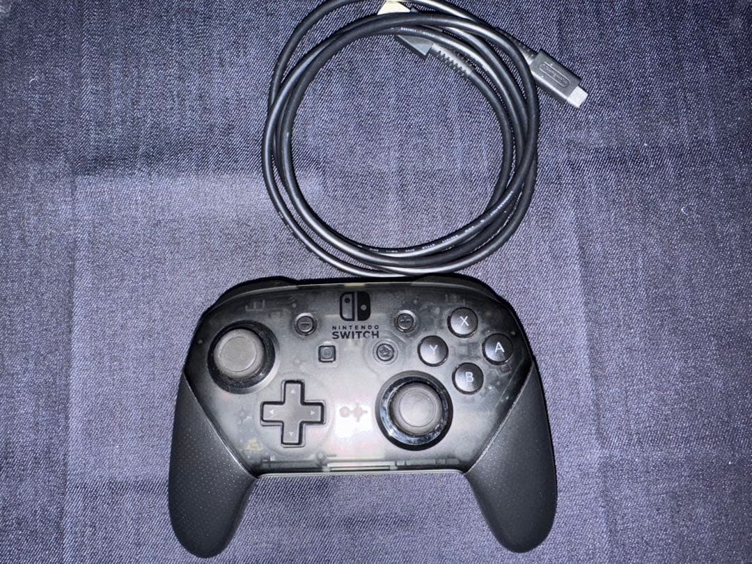 Nintendo Switch/あつまれどうぶつの森（ソフトなし）Proコン付き