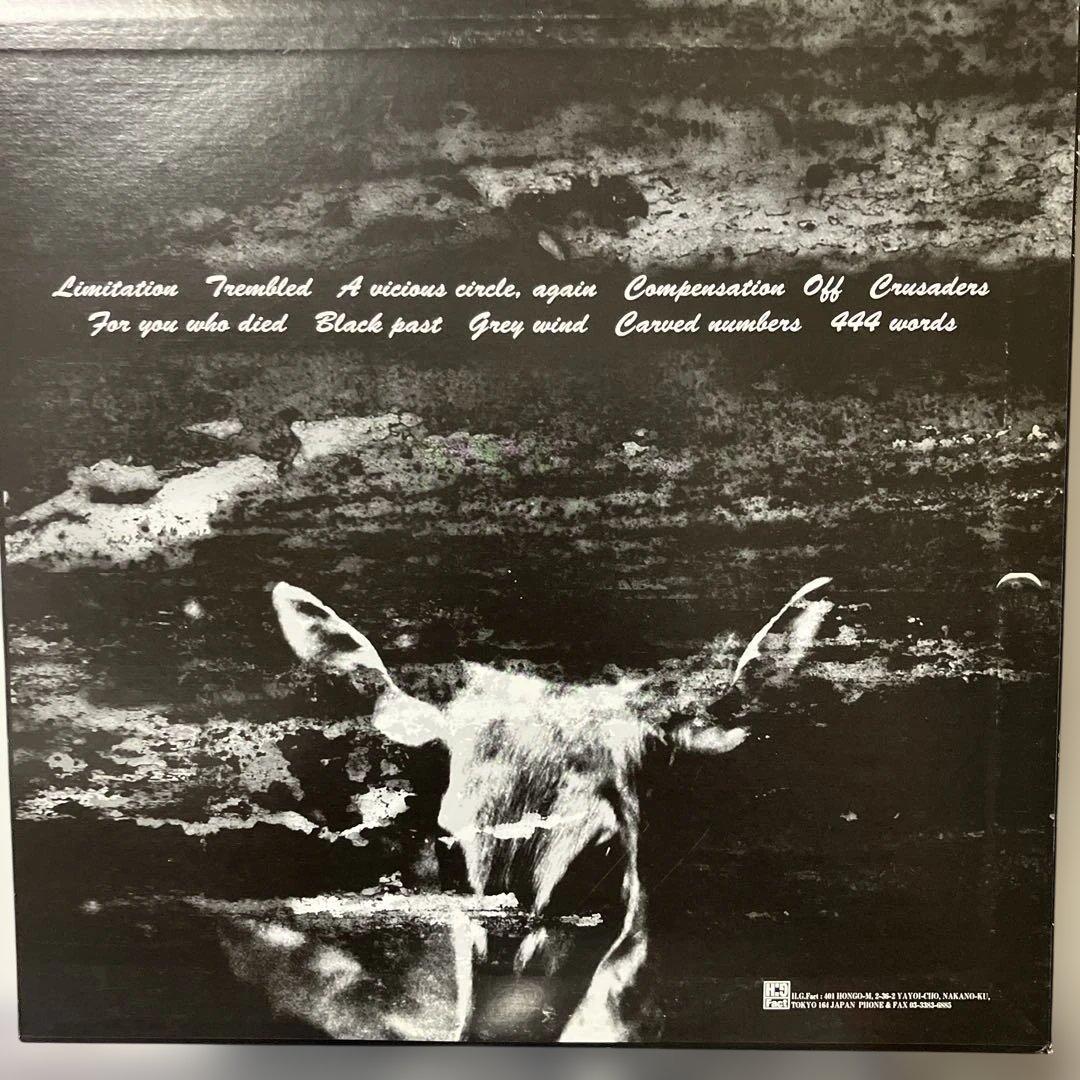 ENVY / From Here to Eternity レコードLP