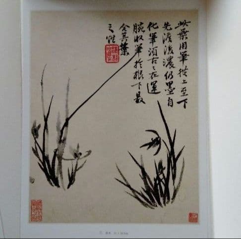 【中国水墨画壇巨匠石濤画集(冊頁)】中国絵画史の最高峰 飾り物、額装も出来ます