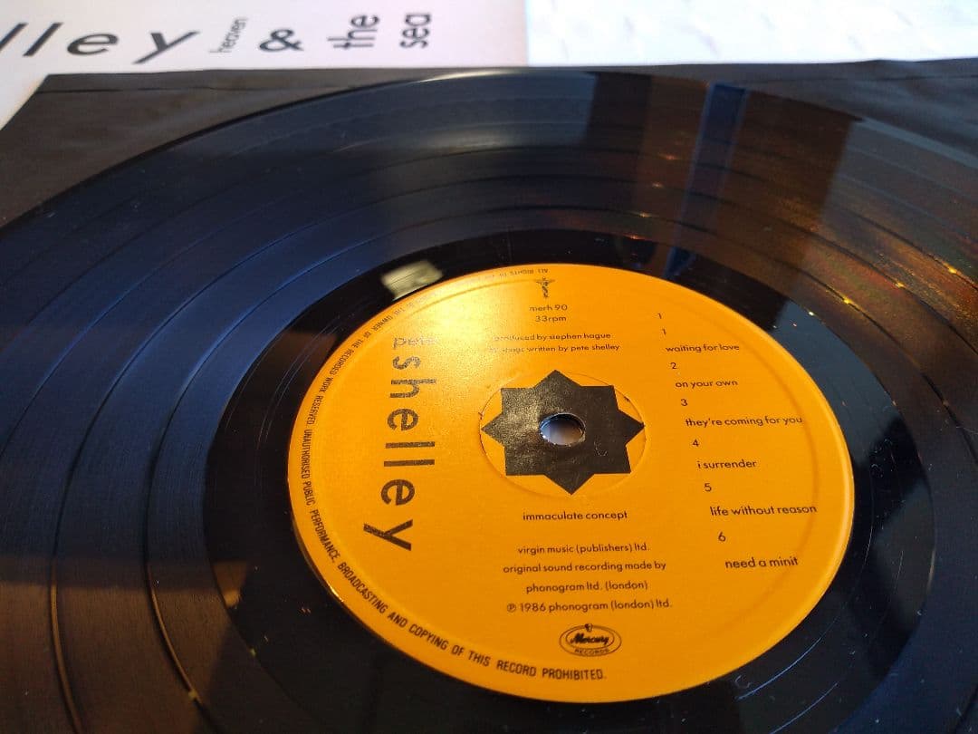 洋楽 Pete Shelley, Heaven & The Sea (LP)