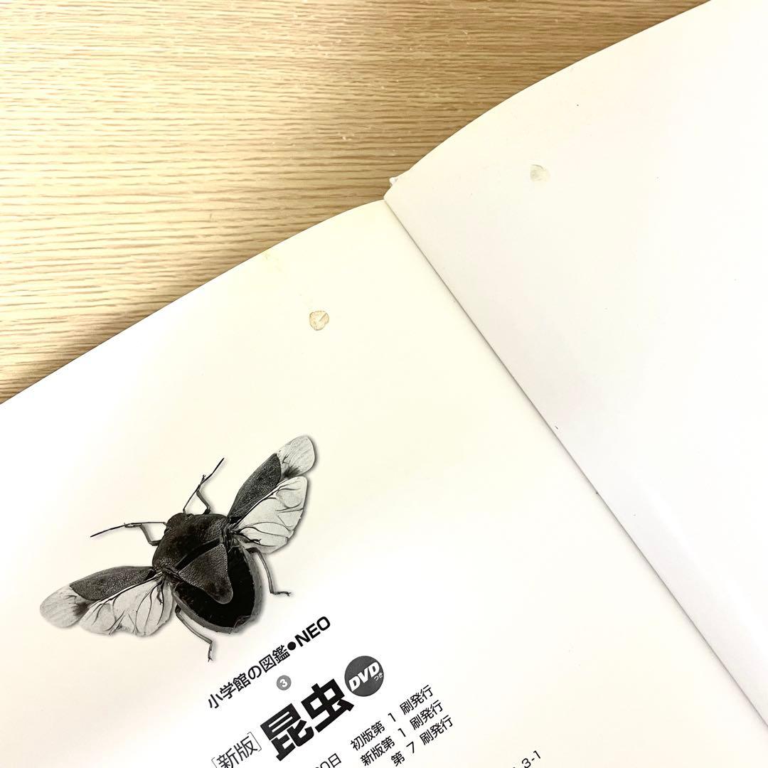 【DVD無し】小学館の図鑑neo 7冊まとめ／自由研究・知育本／図鑑中古本