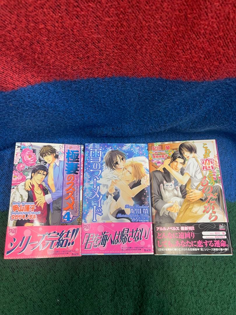 BL小説 ライトノベル まとめ売り 14冊セット 特典付きあり
