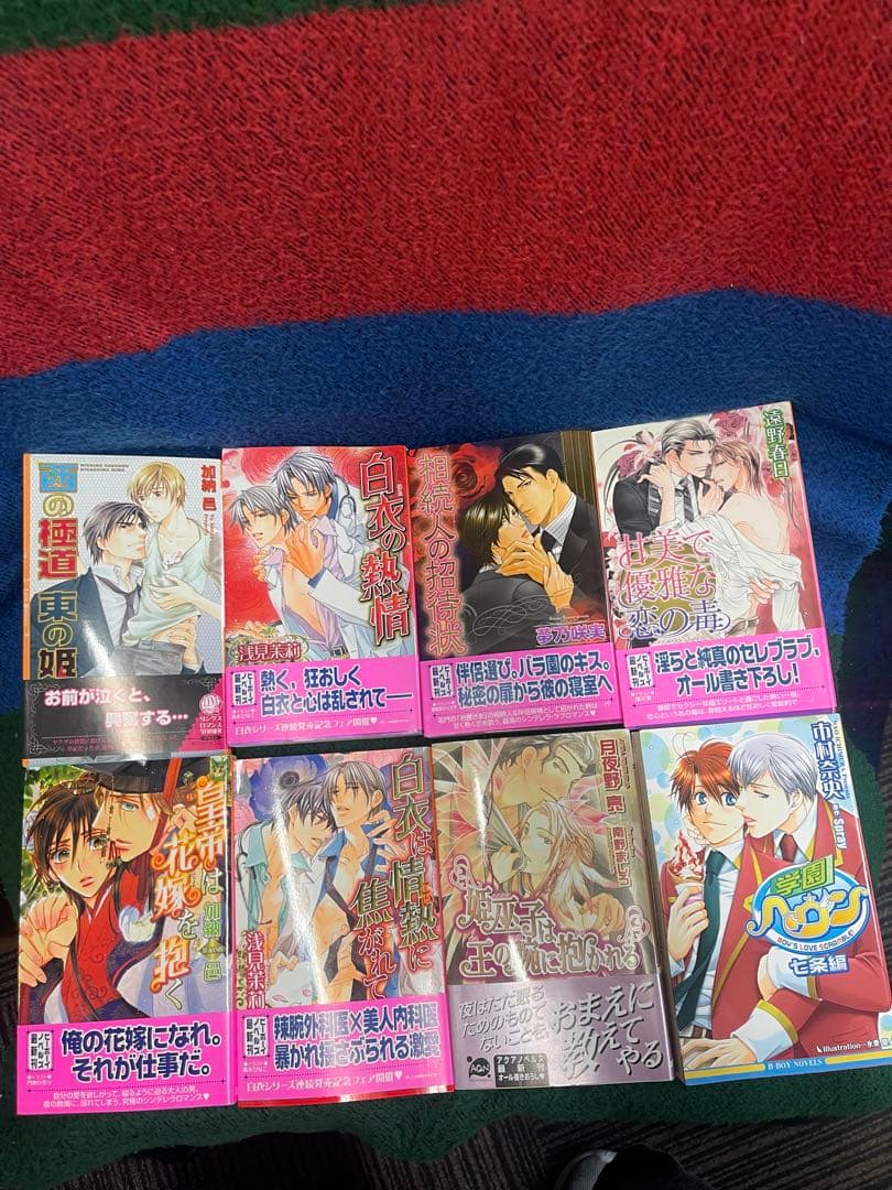 BL小説 ライトノベル まとめ売り 14冊セット 特典付きあり