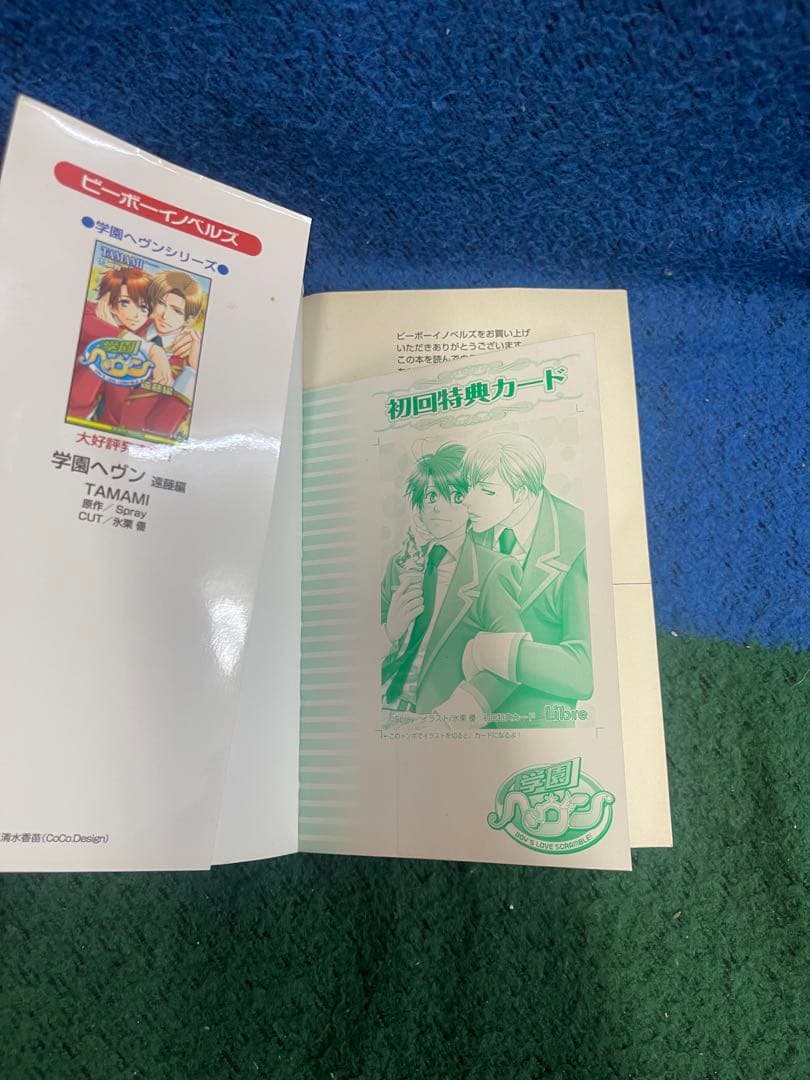 BL小説 ライトノベル まとめ売り 14冊セット 特典付きあり