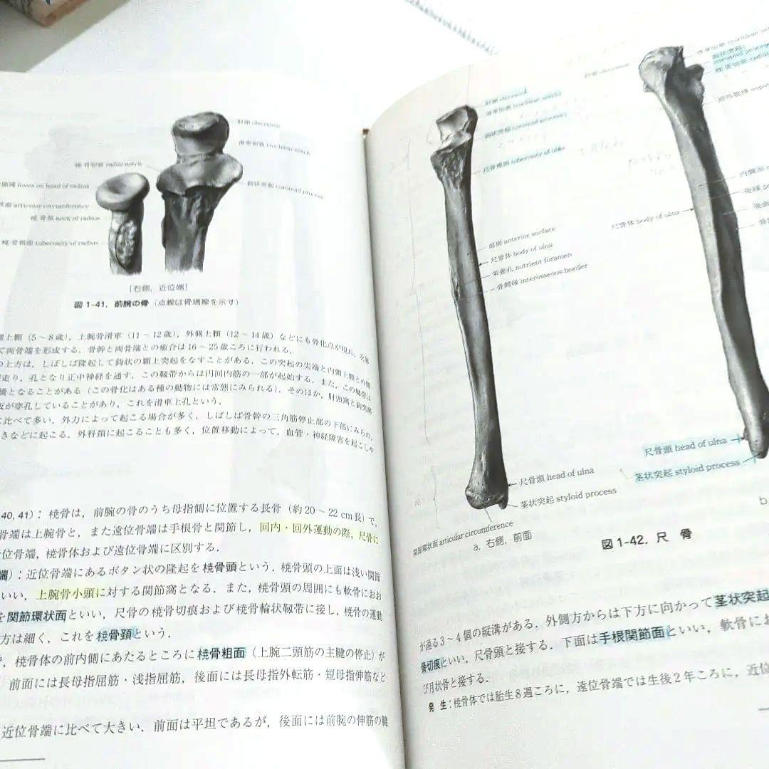 改訂19版 日本人体解剖学 上巻 / 南山堂