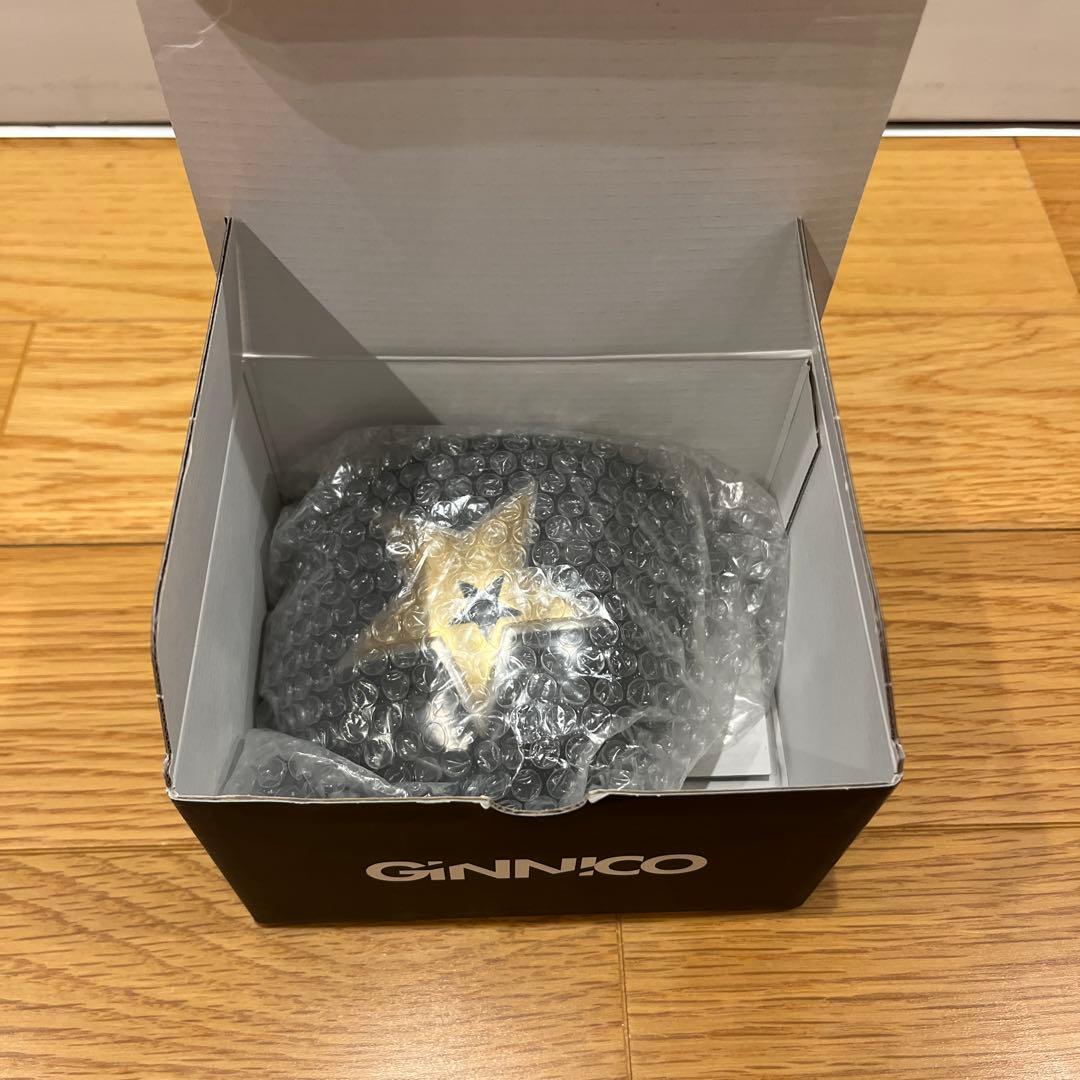 GINNICO MODEL01 D ドライバー　ヘッド