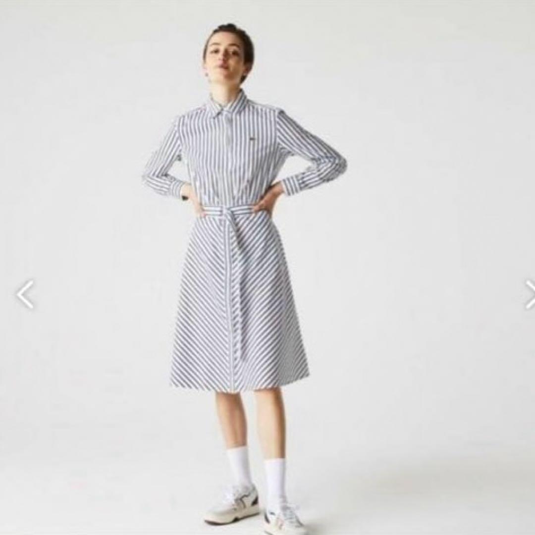 超美品❗️LACOSTE ラコステ　コットンポプリンストライプシャツ　ワンピース