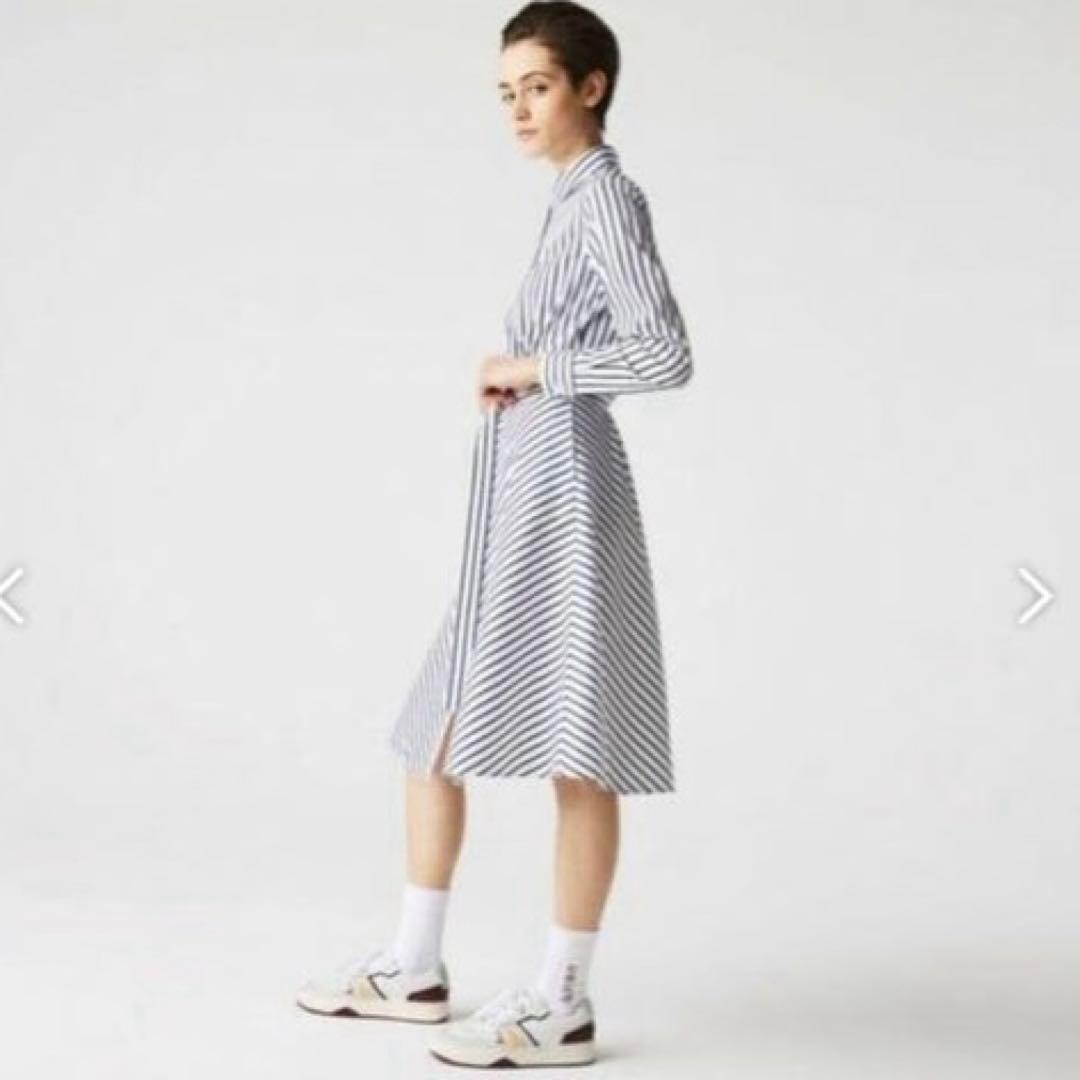 超美品❗️LACOSTE ラコステ　コットンポプリンストライプシャツ　ワンピース