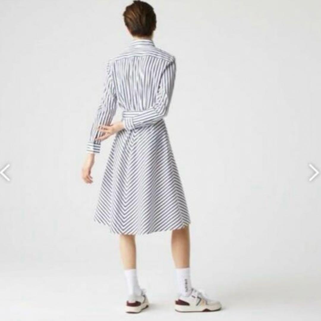 超美品❗️LACOSTE ラコステ　コットンポプリンストライプシャツ　ワンピース
