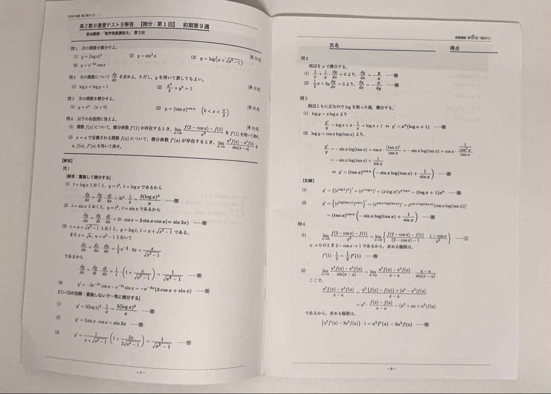 高2 数学　数Ⅲ 鉄緑会　別冊　冊子　まとめ　セット　おまけつき　計算テスト