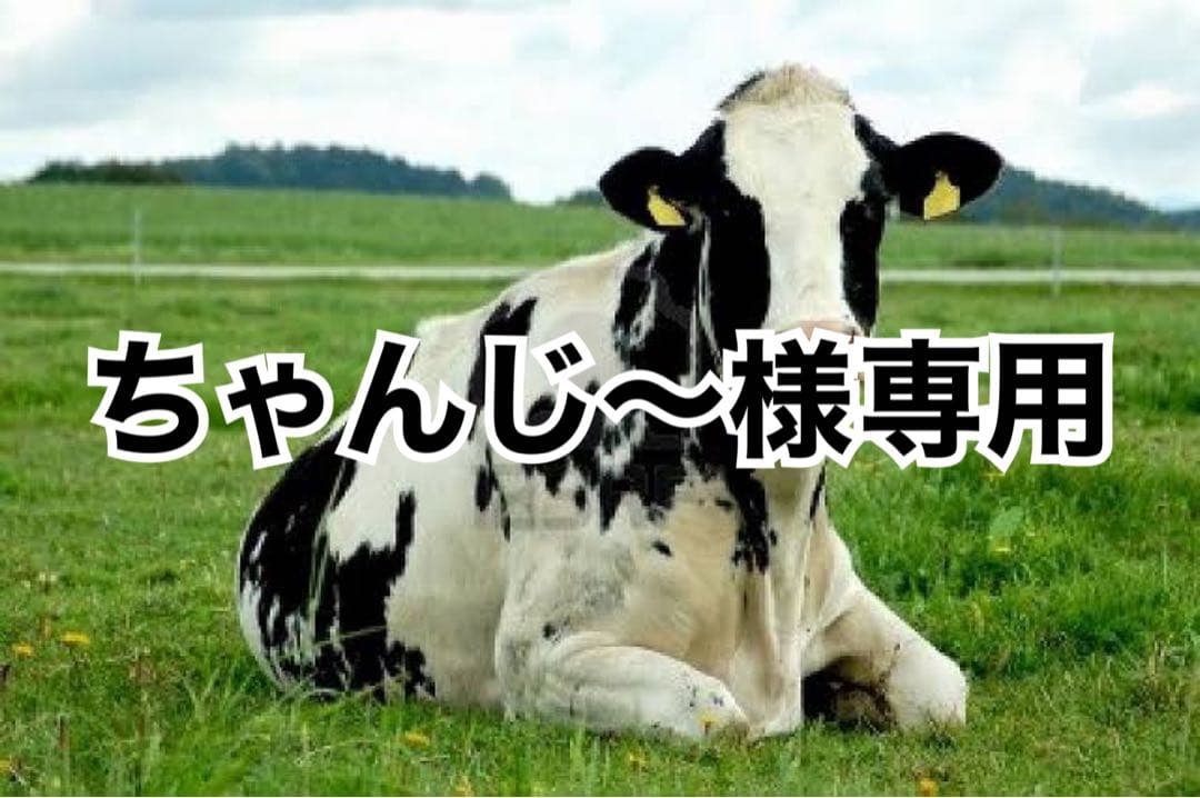 ダークワイン10、グリス500g