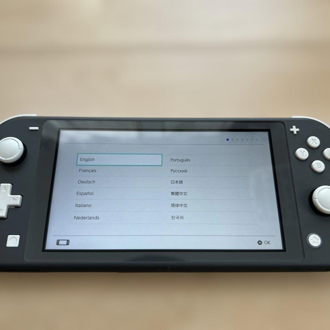 【美品】Nintendo Switch Lite グレー 本体　2021年製