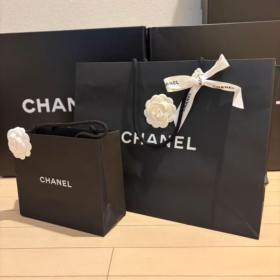 CHANELバッグ用特大ボックス空箱保存袋ポーチショッパーセット空箱15個まとめ