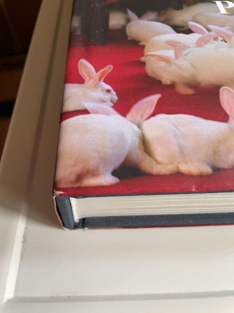 値下げ　TIM WALKER PICTURES / ティムウォーカー