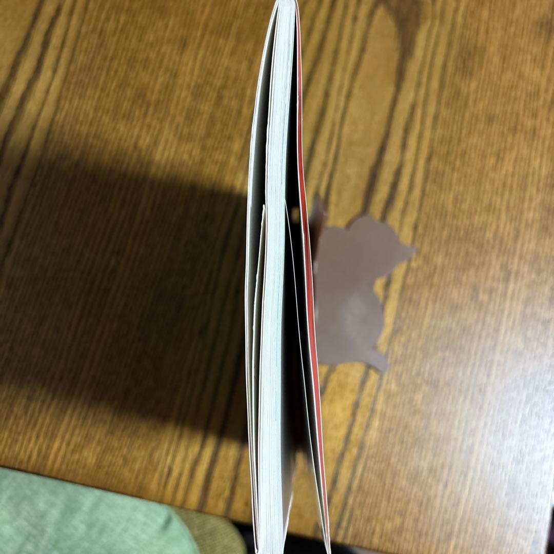【希少品】高橋真琴　世界のおひめさま(商品説明は必ずご確認お願いします)