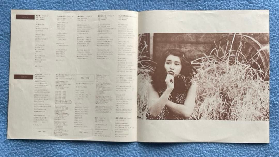武田久美子 ・高見知佳・秋吉久美子、昭和個性派美女の希少レコードまとめて。