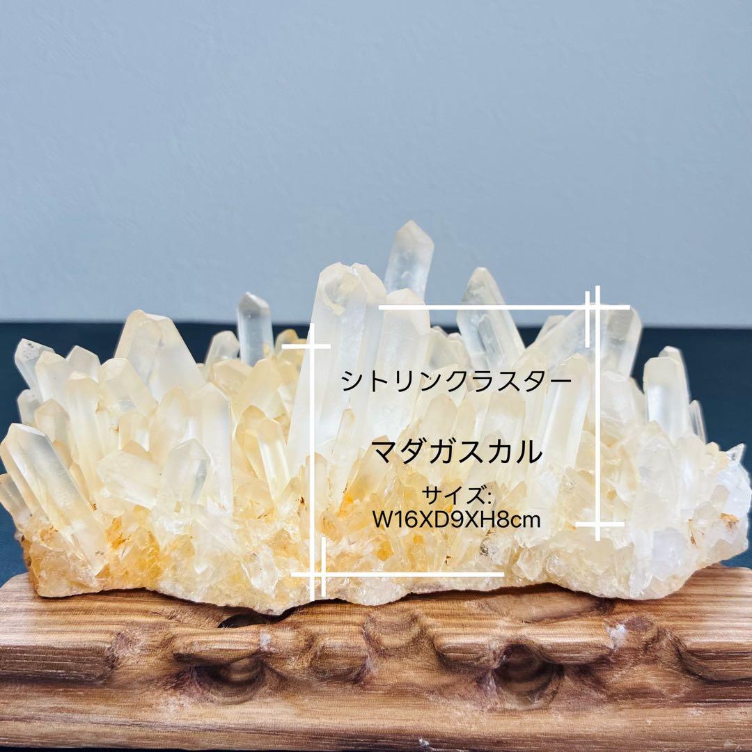 マダガスカル産シトリンクラスター｜651g｜木製台座付き・金運アップの黄色い光