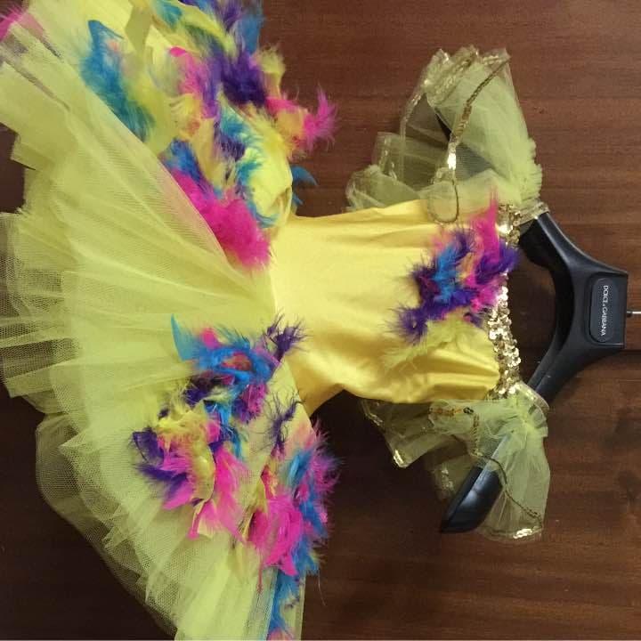 バレエコスチューム Ballet tutu costume