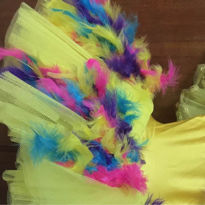 バレエコスチューム Ballet tutu costume
