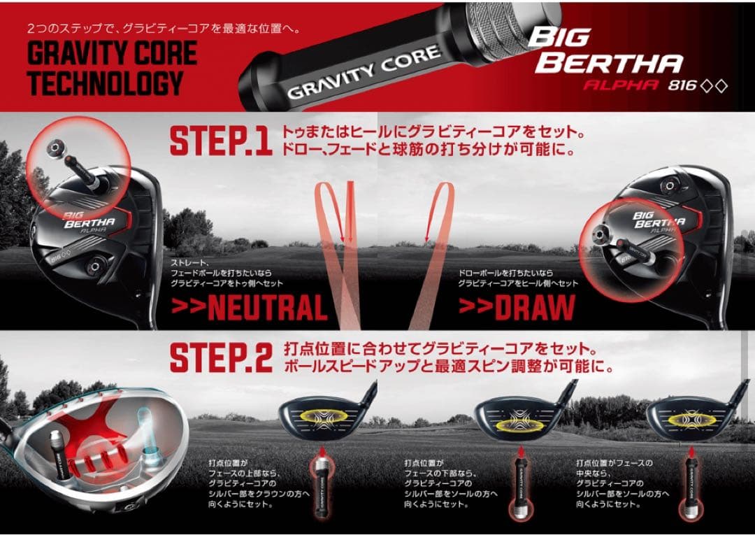 BIG BERTHA Alpha 816 3本セット（純正品）