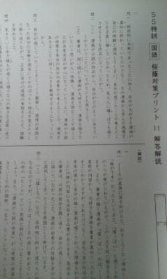 サピックス：６年 難関校ＳＳ特訓＊国語＊桜蔭 対策プリント＊全１４回完全版＊貴重