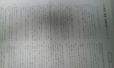 サピックス：６年 難関校ＳＳ特訓＊国語＊桜蔭 対策プリント＊全１４回完全版＊貴重