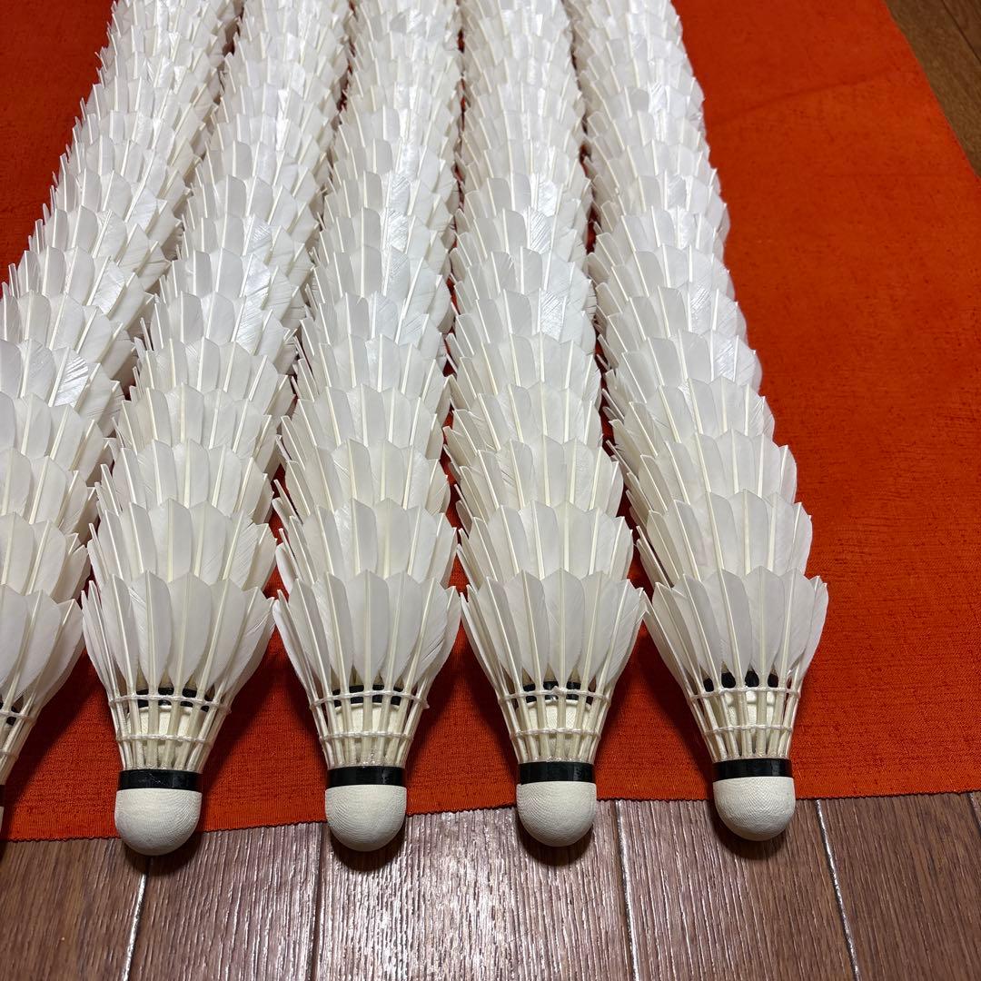 バドミントンシャトル ノック、トスバッティング用 209