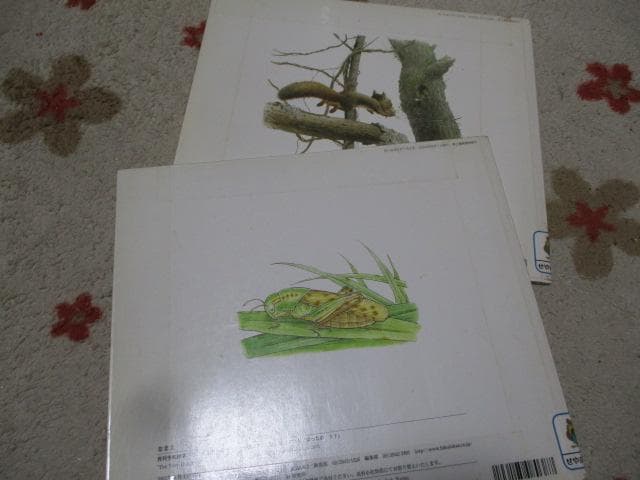 絵本まとめ売り 約80冊 ちいさなかがくのとも/こどものとも/おはなしチャイルド