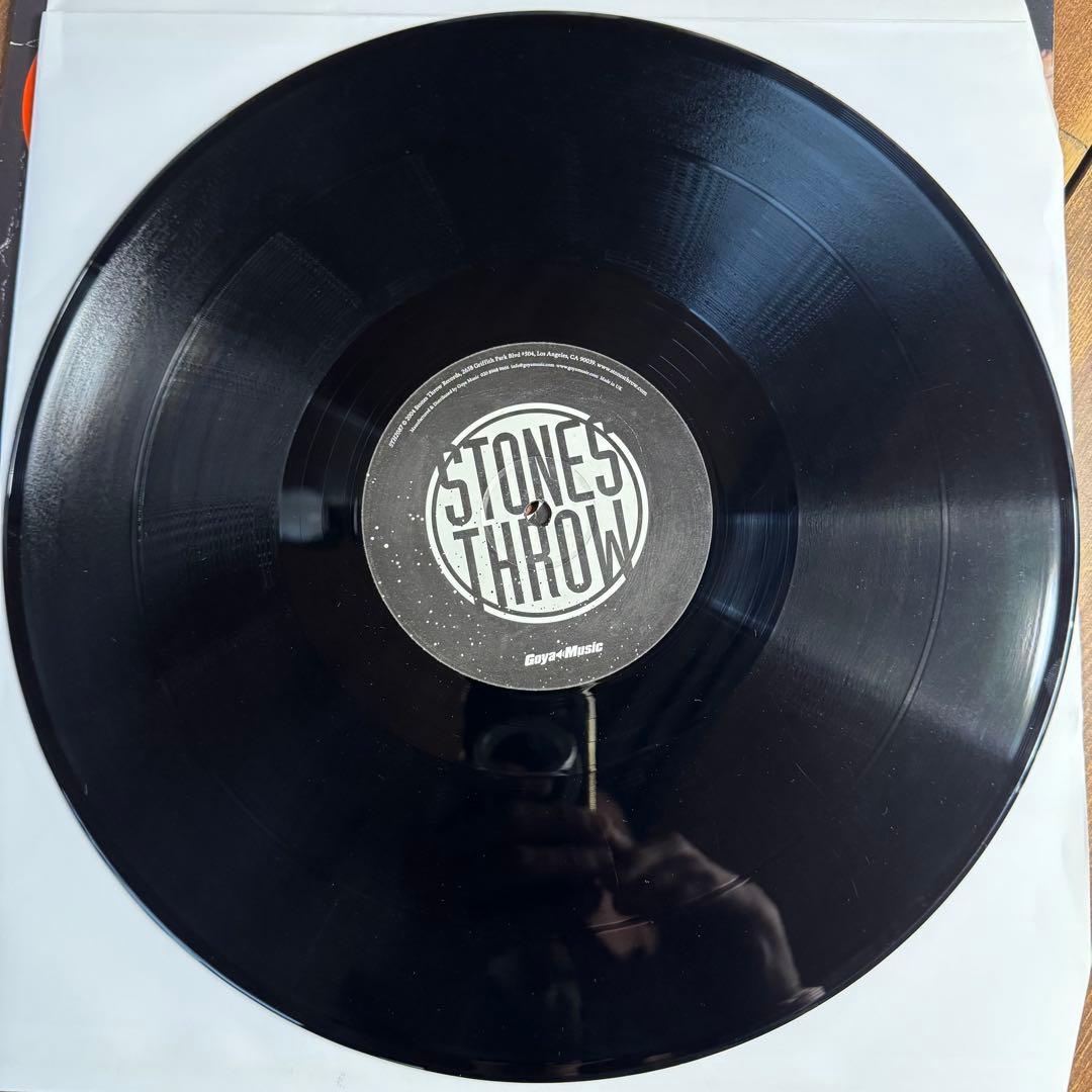MADLIB DJ Rels –Theme For A Broken Soul