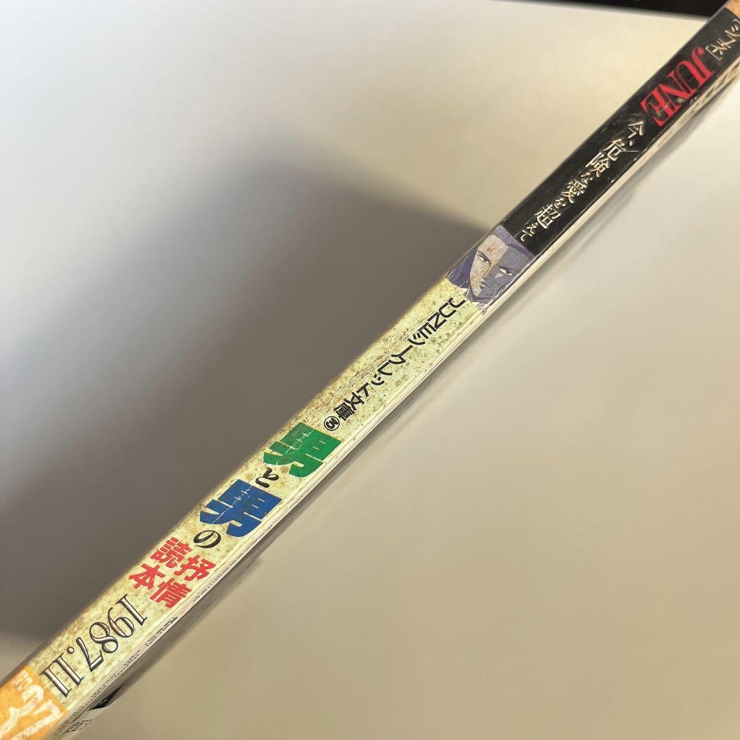 【80年代 貴重 】June ジュネ 1987年 11月 Ｎｏ．37 大沢健 他