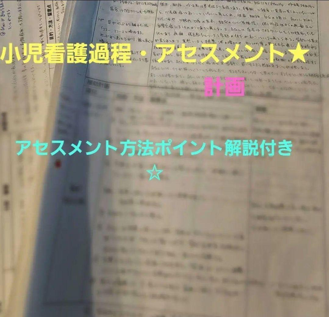 母性看護過程　精神看護過程　小児看護過程　在宅看護過程　基礎看護アセスメント★