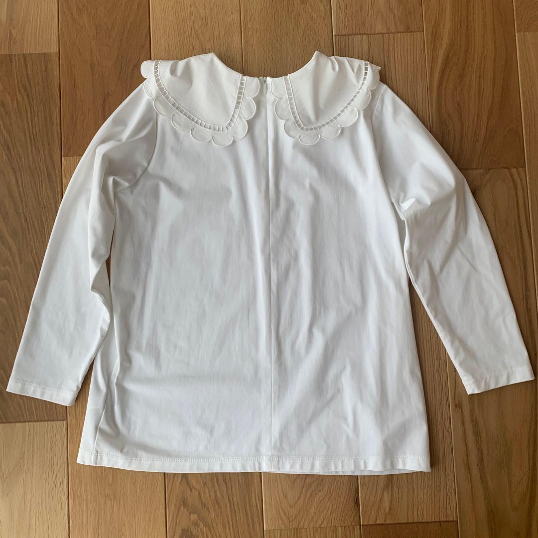 hitomi. スカラップロンtee yori