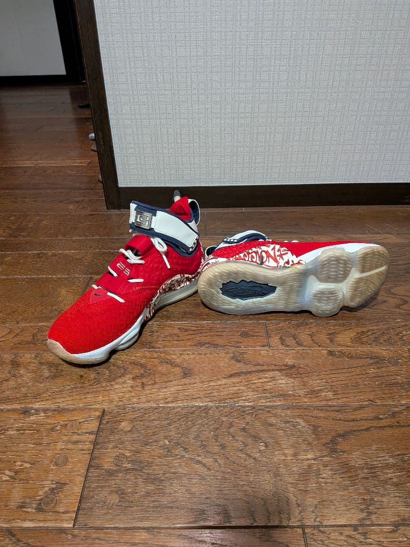ナイキ バスケットボール レブロン 17 FP \"グラフィティーリミックス